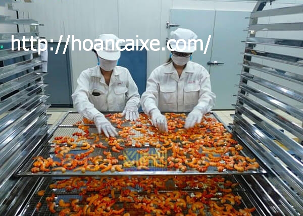 qua-trinh-say-tom-kho-bang-may-say-khoi-minh